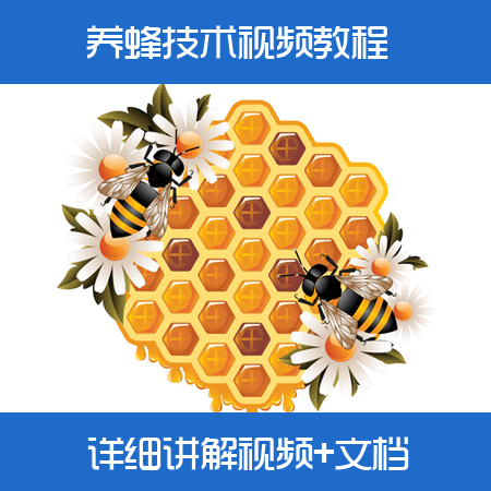 1582078352 c4ca4238a0b9238 - 蜜蜂养殖技术视频教程/中蜂养殖/养蜂技术大全视频教材/如何养蜂